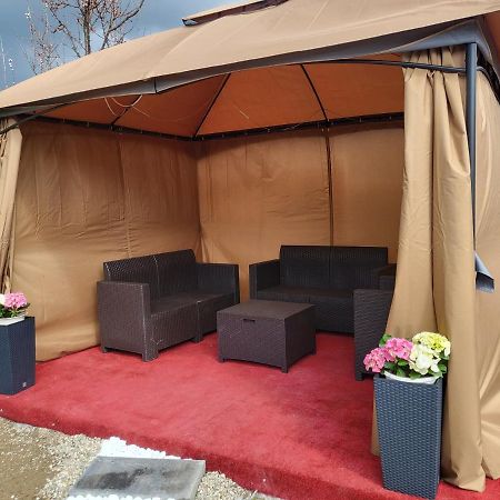 Vila Ana Cu Terasa Gratar Si Jacuzzi Villa Satu Mare Ngoại thất bức ảnh