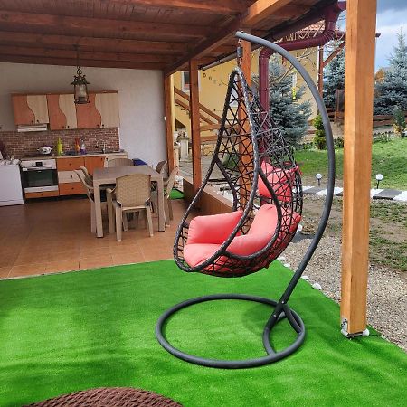 Vila Ana Cu Terasa Gratar Si Jacuzzi Villa Satu Mare Ngoại thất bức ảnh