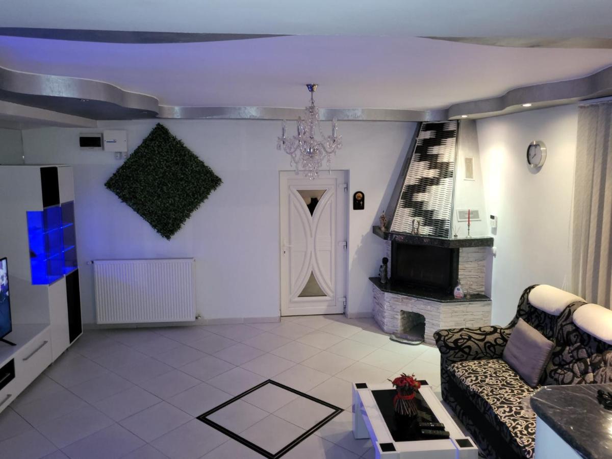 Vila Ana Cu Terasa Gratar Si Jacuzzi Villa Satu Mare Ngoại thất bức ảnh