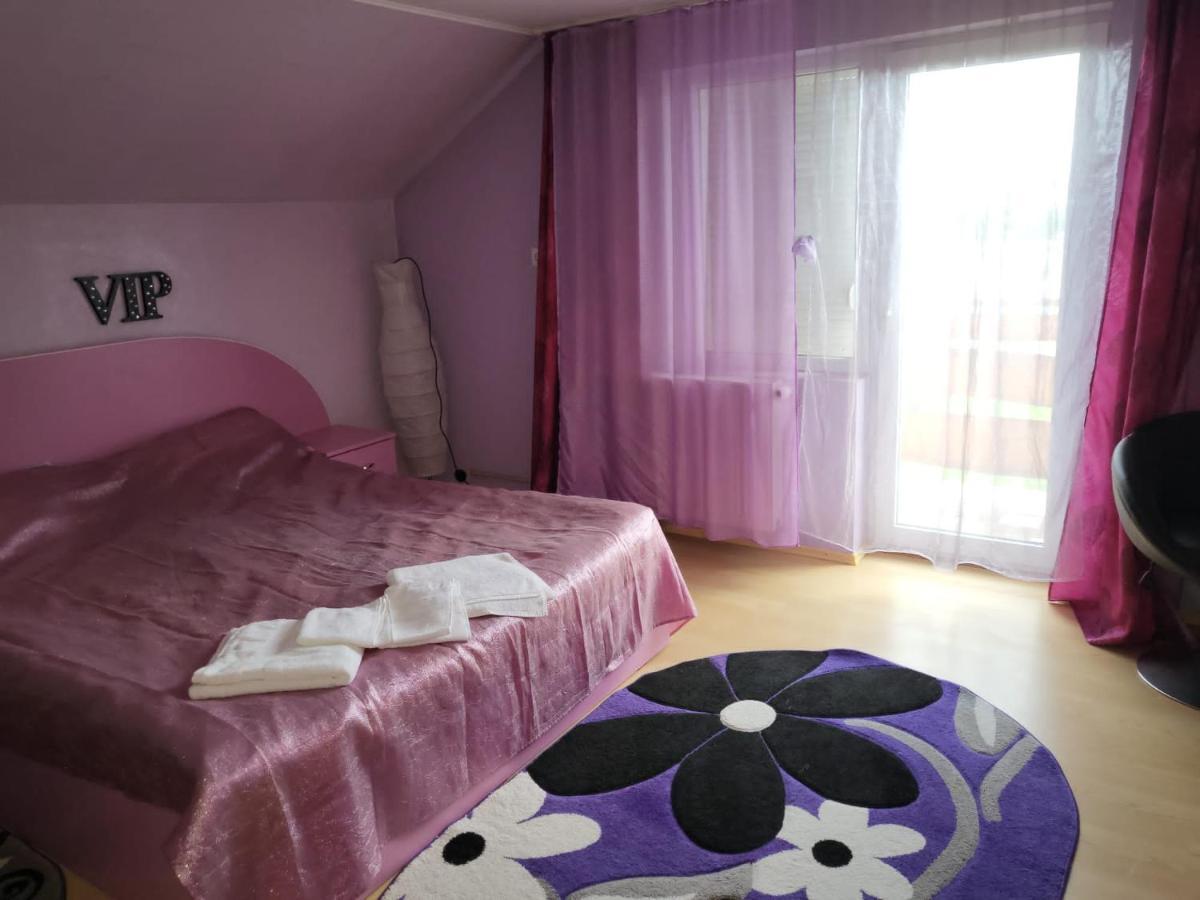 Vila Ana Cu Terasa Gratar Si Jacuzzi Villa Satu Mare Ngoại thất bức ảnh