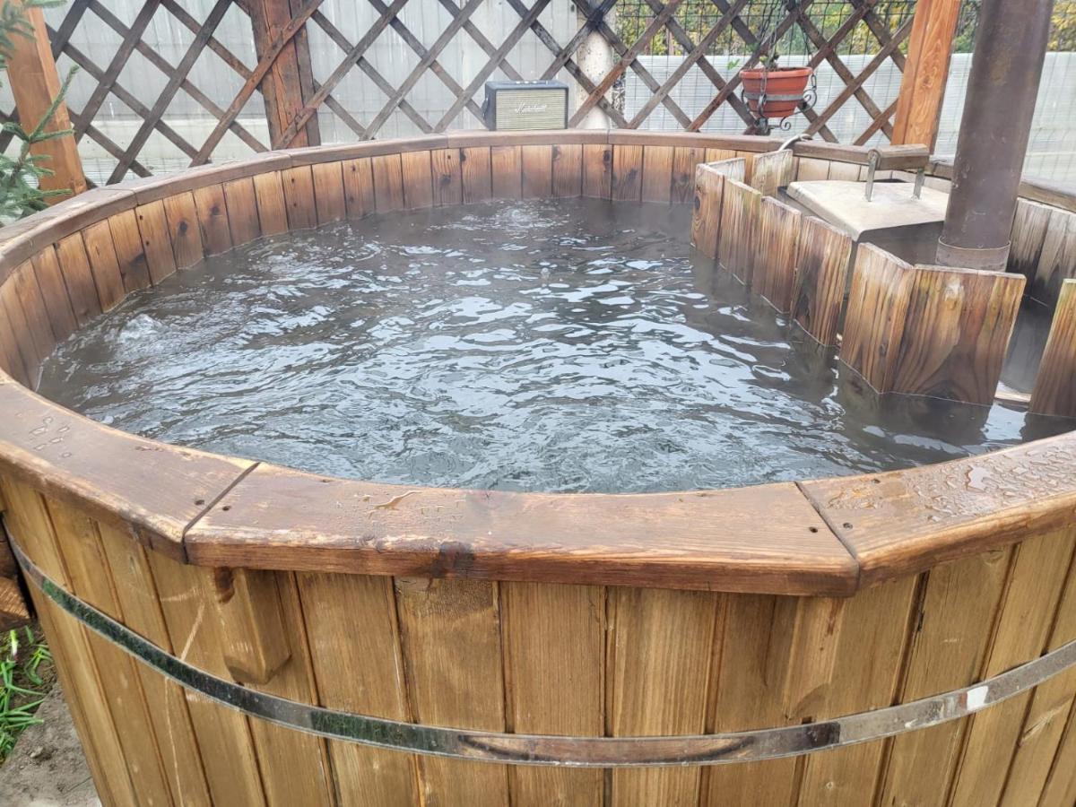 Vila Ana Cu Terasa Gratar Si Jacuzzi Villa Satu Mare Ngoại thất bức ảnh
