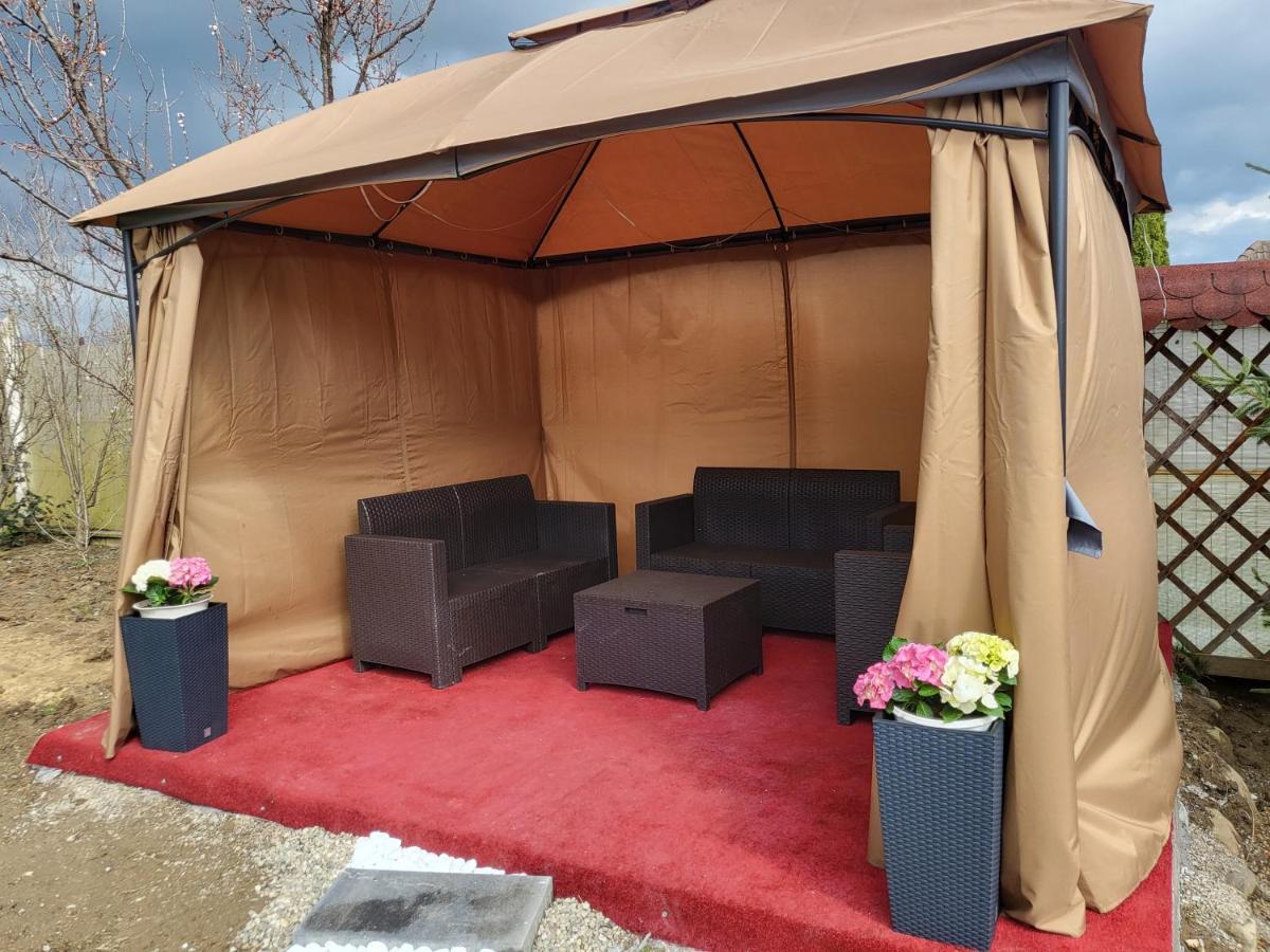 Vila Ana Cu Terasa Gratar Si Jacuzzi Villa Satu Mare Ngoại thất bức ảnh